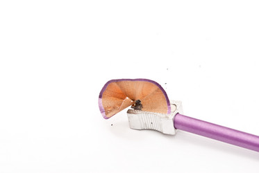 Similar image 358250