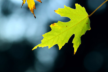 Similar image 358260