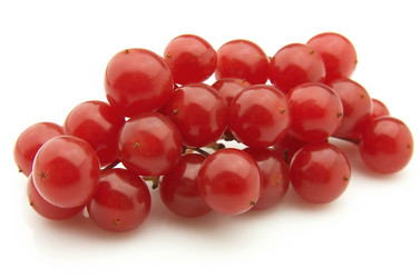 Similar image 358263