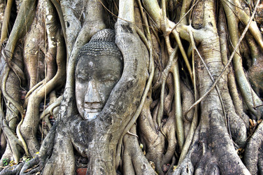 Similar image 358265