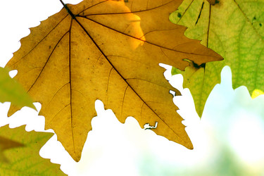 Similar image 358321