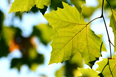 Similar image 358322