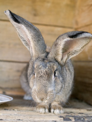 Similar image 358345