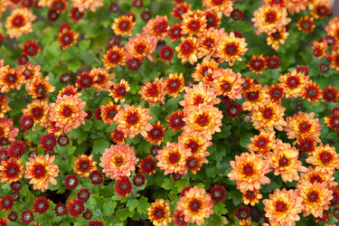 Similar image 358360