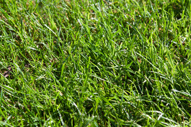 Similar image 358367