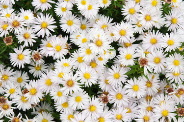 Similar image 358379