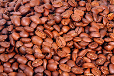 Similar image 358446