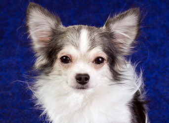 Similar image 358449