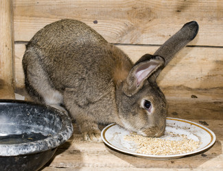 Similar image 358457