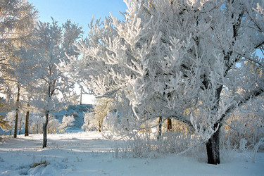 Similar image 358473