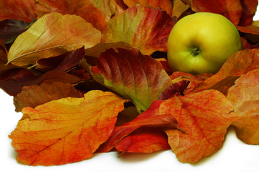 Similar image 358492