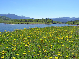 Similar image 358502