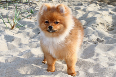 Similar image 358503