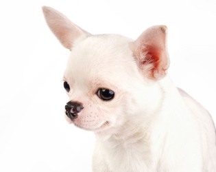 Similar image 358504