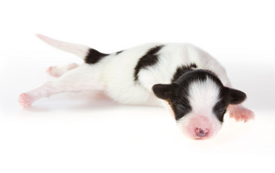 Similar image 358506