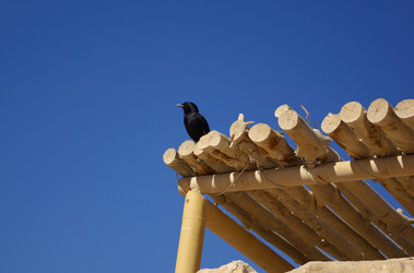 Similar image 358547