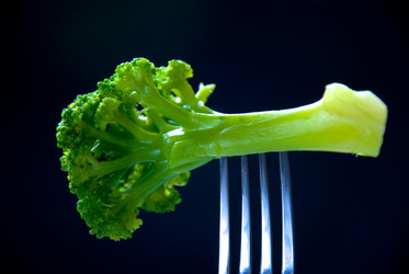 Similar image 358558