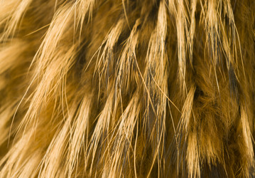 Similar image 358588