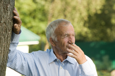 Similar image 358623