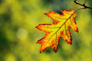 Similar image 358644