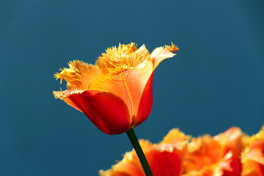 Similar image 358669