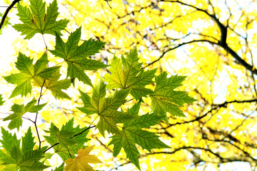 Similar image 358674