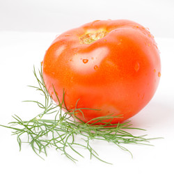 Similar image 358748