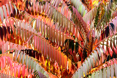 Similar image 358857