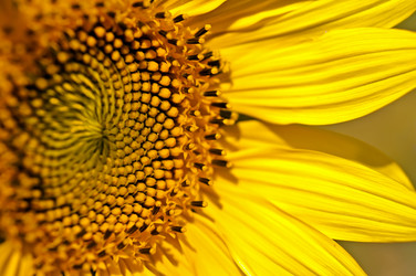 Similar image 358872