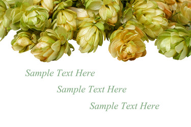 Similar image 358890