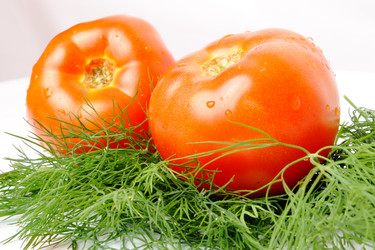 Similar image 358936