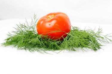 Similar image 358937