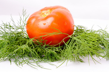 Similar image 358943