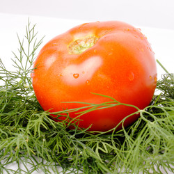 Similar image 358944