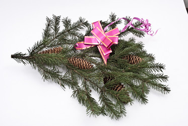 Similar image 358948