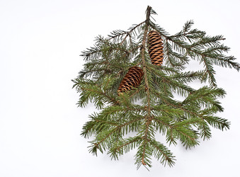 Similar image 358952