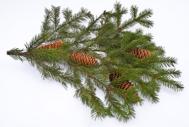 Similar image 358954