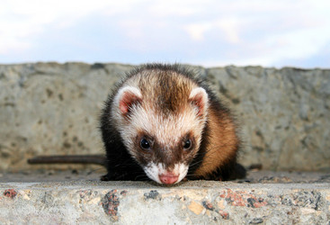 Similar image 358985