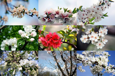 Similar image 359008