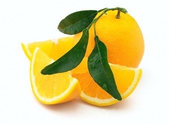 Similar image 359042