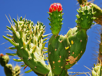 Similar image 359043