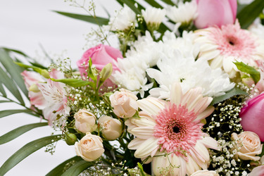 Similar image 359080