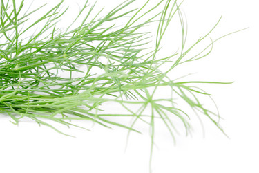 Similar image 359125