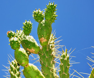 Similar image 359141