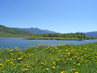 Similar image 359165