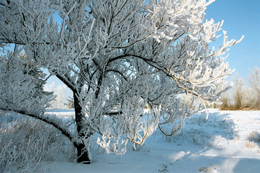 Similar image 359200