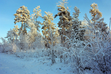 Similar image 359201