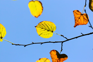 Similar image 359211