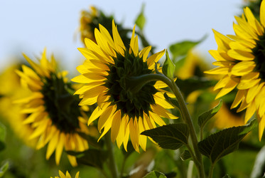 Similar image 359215