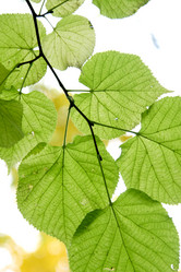 Similar image 359220